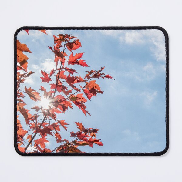 Item preview, Red Autumn Leaves on a Tree with Blue Sky designed and sold by jrtwynam.