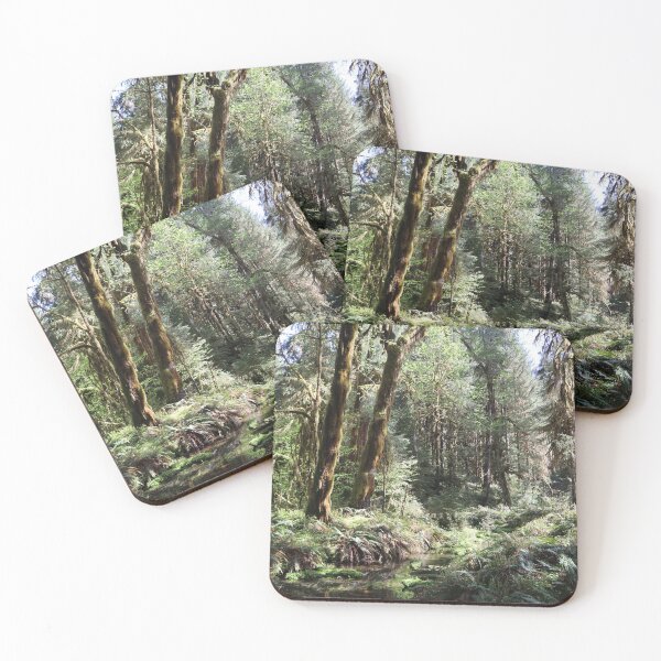 Artikelvorschau, Pacific Northwest Olympic Nationalpark Druck entworfen und verkauft von pineywoodsshop.