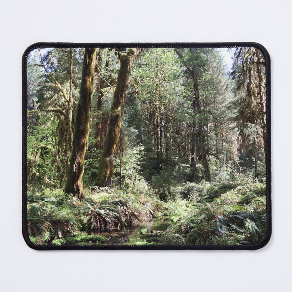 Artikelvorschau, Pacific Northwest Olympic Nationalpark Druck entworfen und verkauft von pineywoodsshop.