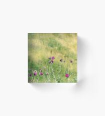 burdock flowers with bees spring season Acrylic Block
