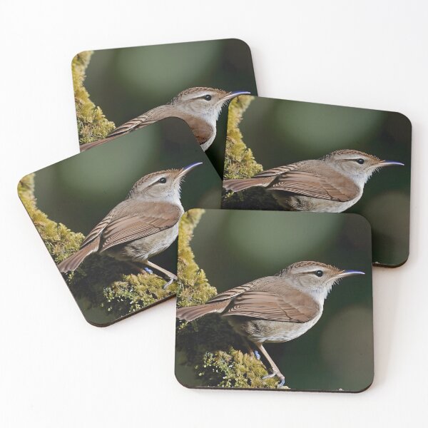 Item preview, The Quirky Energetic House Wren designed and sold by Hall-O-Gram.