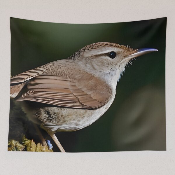 Item preview, The Quirky Energetic House Wren designed and sold by Hall-O-Gram.