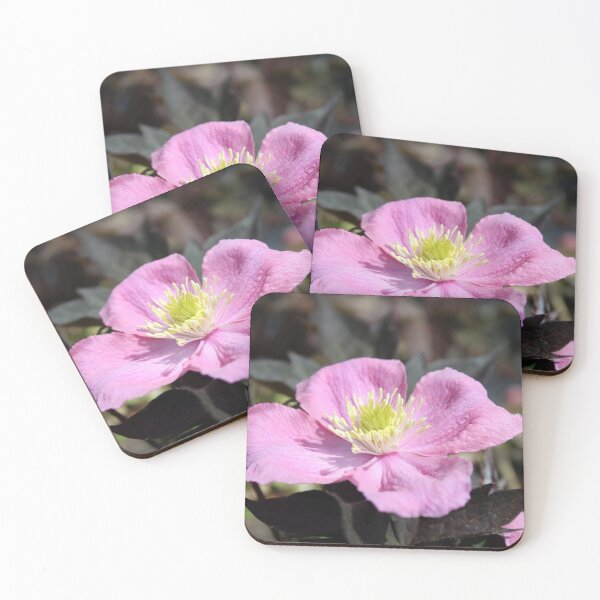 Item preview, clematis flower designed and sold by KathleenDawson.