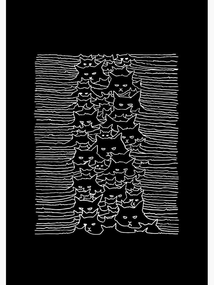 PAW DIVISION JOY CAT MEME UNKNOWN PLEASURES