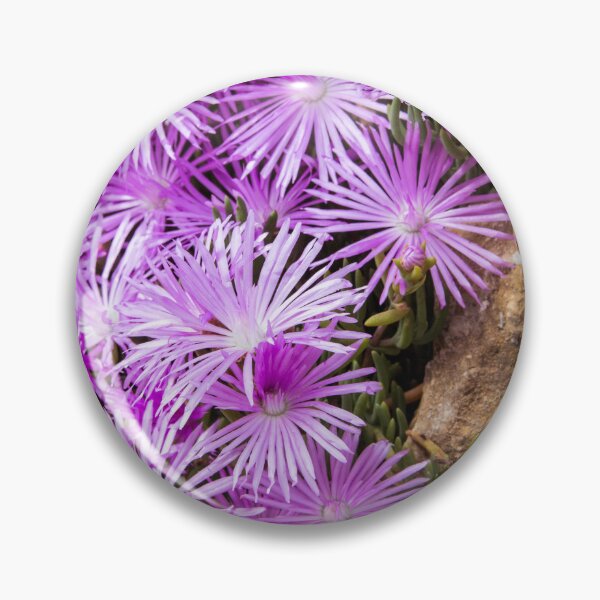 Item preview, Ice Plant Flower designed and sold by tonni.