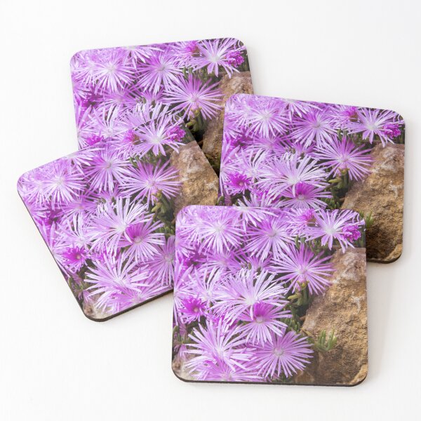 Item preview, Ice Plant Flower designed and sold by tonni.