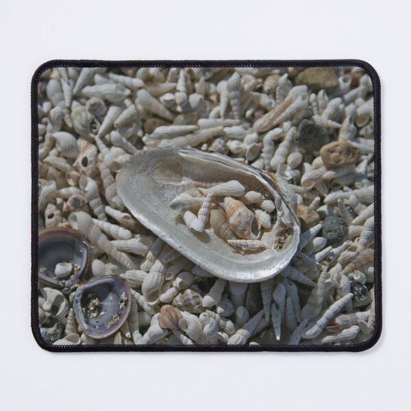 Item preview, Shells designed and sold by Nira Dabush.