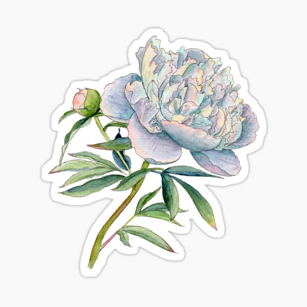 Navy Peony Pastel Spring Flowers Stickers