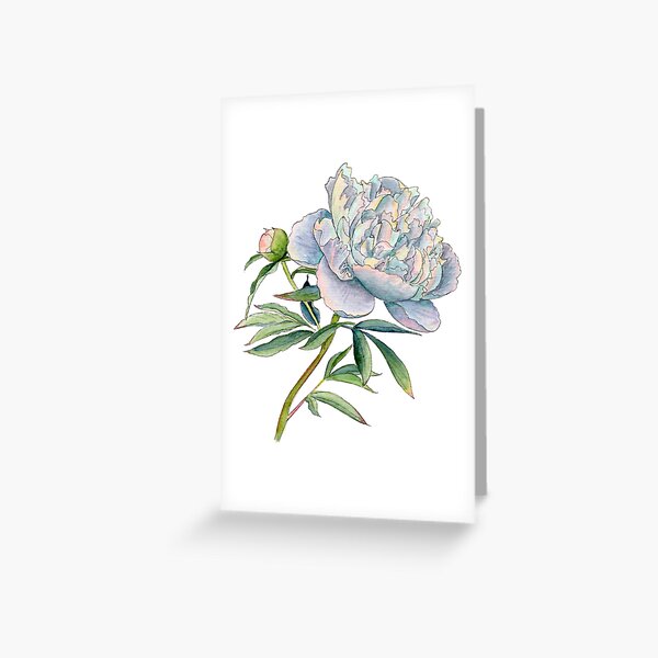 Pfingstrose in Aquarell und Tusche von farrahdelle Grußkarte