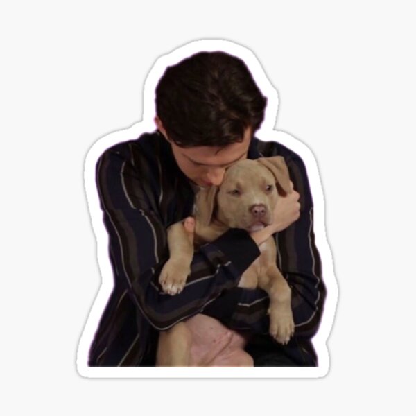 tom holland puppy interview Sticker