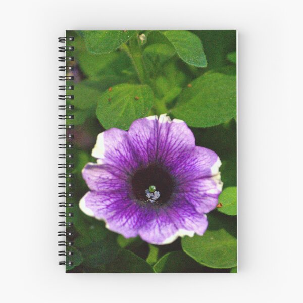 Item preview, Purple Petunia Flower designed and sold by MercerImages.