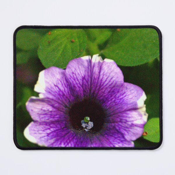 Item preview, Purple Petunia Flower designed and sold by MercerImages.