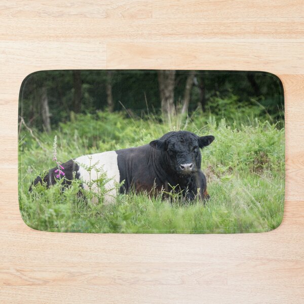 Item preview, Belted Galloway Bull II designed and sold by Jane Stanley Photography.