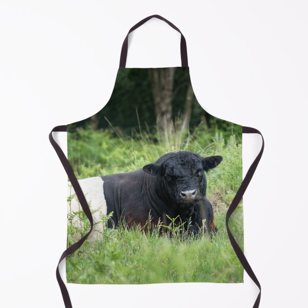 Item preview, Belted Galloway Bull II designed and sold by Jane Stanley Photography.