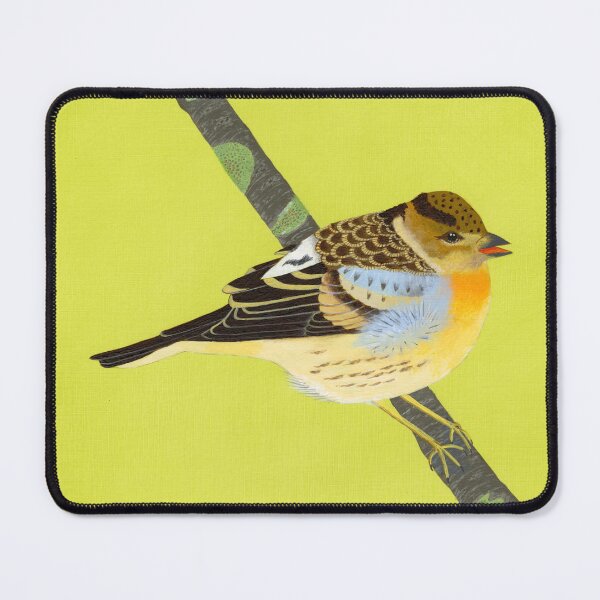 Item preview, A brambling perched on a branch with patches of green lichen designed and sold by BrianEydenArt.