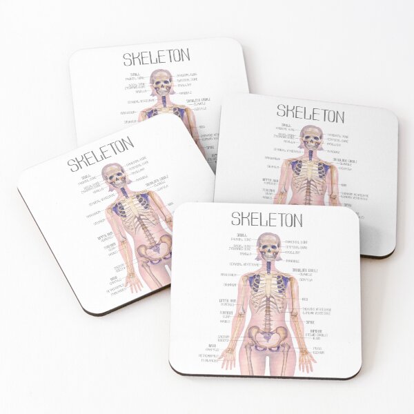 Item preview, Female human skeleton designed and sold by Ekaterina Glazkova.
