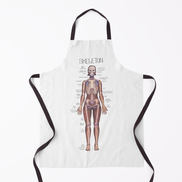 Item preview, Detailed watercolor illustration of a female human body anatomy showcases skeletal structure designed and sold by Ekaterina Glazkova.
