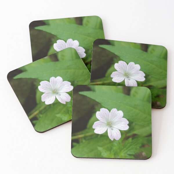 Item preview, Little geranium, white  designed and sold by Oubaitory.