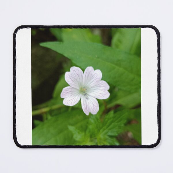 Item preview, Little geranium, white designed and sold by Oubaitory.