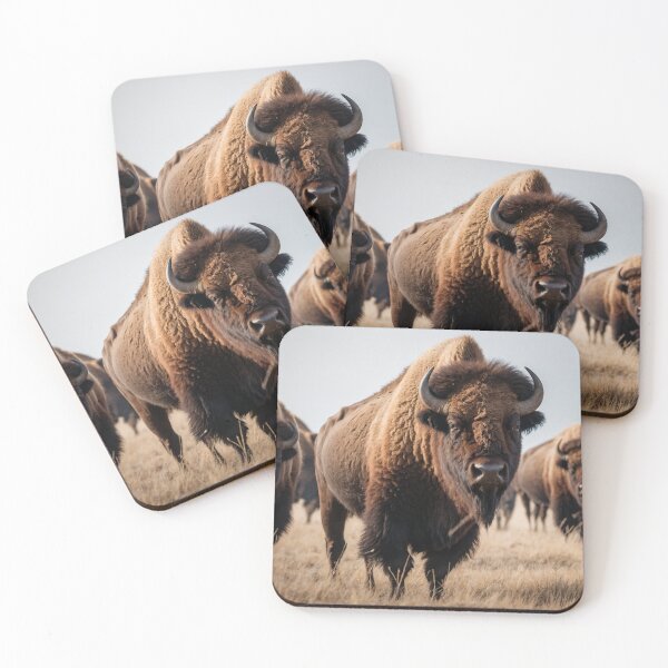 Item preview, American Buffalo designed and sold by FUTURO SHOP.