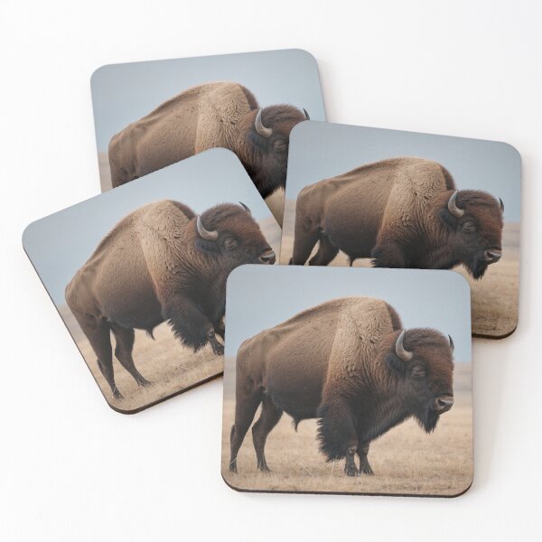 Item preview, American Buffalo designed and sold by FUTURO SHOP.
