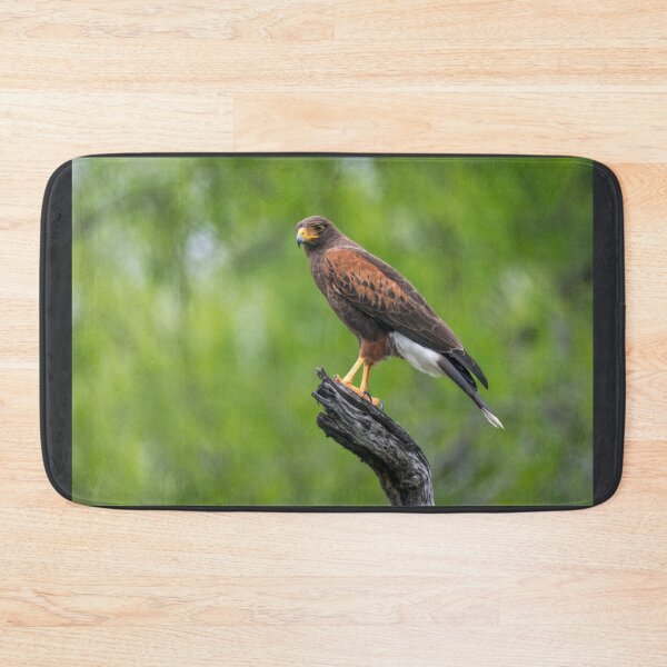 Item preview, Harris Hawk Perched Roadside designed and sold by Debra Martz.