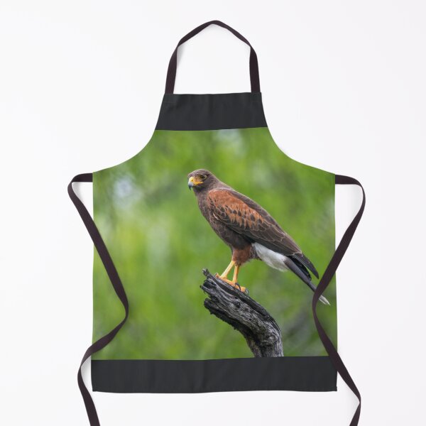 Item preview, Harris Hawk Perched Roadside designed and sold by Debra Martz.