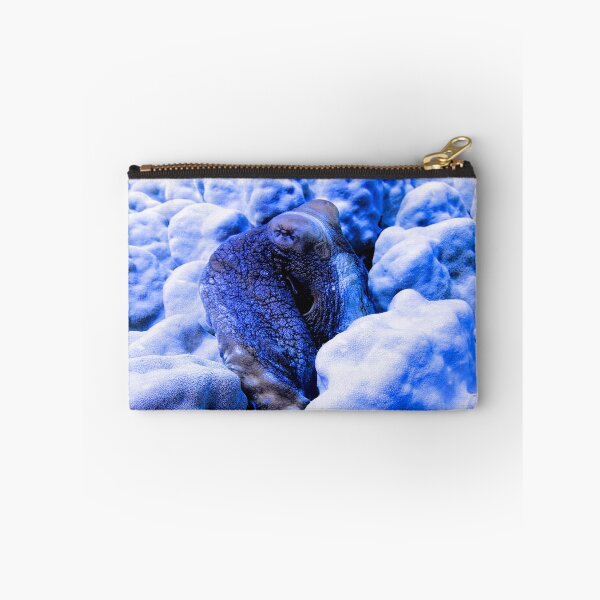 Item preview, Day Octopus Cyanea Red Sea Marsa Alam  Egypt designed and sold by Ahmed ElMekawy.