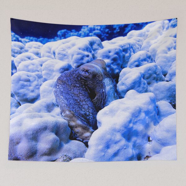 Item preview, Day Octopus Cyanea Red Sea Marsa Alam  Egypt designed and sold by Ahmed ElMekawy.