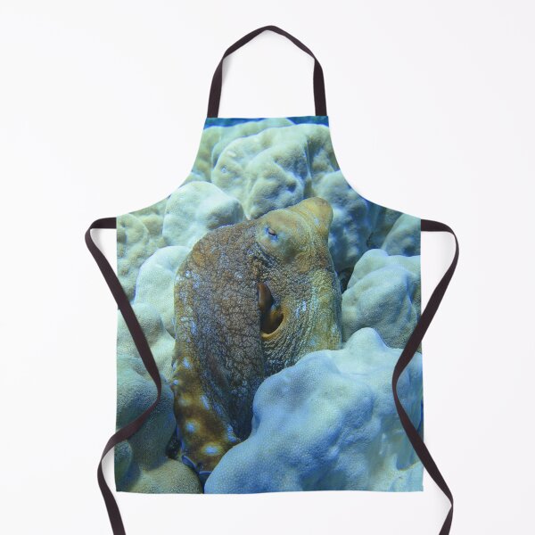 Item preview, Day Octopus Cyanea Red Sea Marsa Alam  designed and sold by Ahmed ElMekawy.