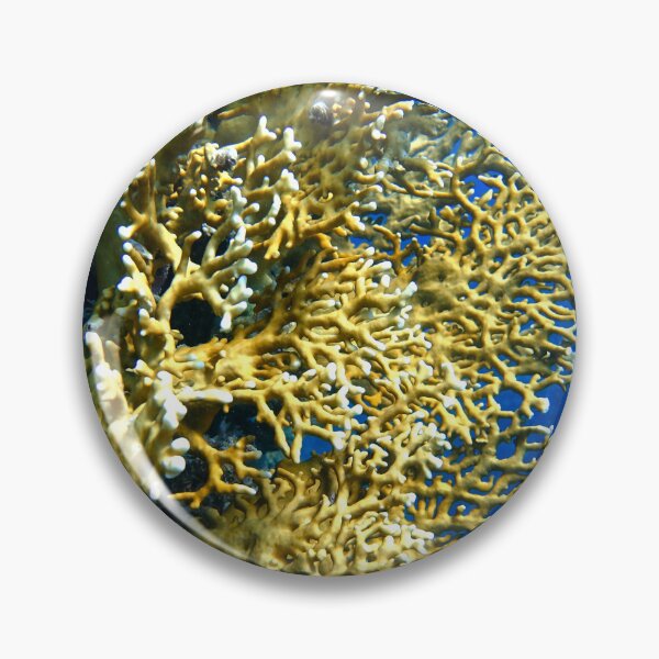 Item preview, Fire Corals in Marsa Alam Red Sea designed and sold by Ahmed ElMekawy.