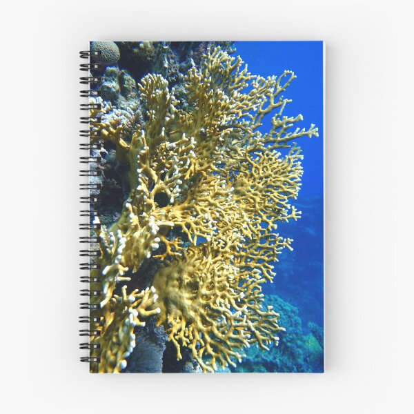 Item preview, Fire Corals in Marsa Alam Red Sea designed and sold by Ahmed ElMekawy.