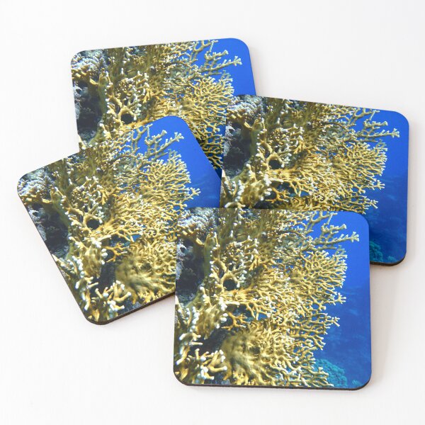 Item preview, Fire Corals in Marsa Alam Red Sea designed and sold by Ahmed ElMekawy.