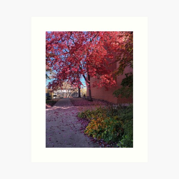 Autumn in the Dell I Art Print