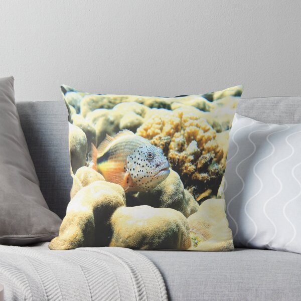 Item preview, Freckled Hawkfish Swimming over Coral Reef in Marsa Alam Red Sea designed and sold by Ahmed ElMekawy.