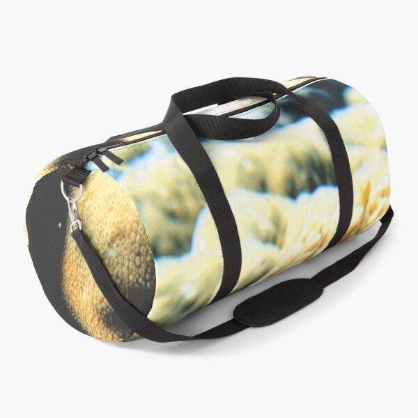 Item preview, Freckled Hawkfish Swimming over Coral Reef in Marsa Alam Red Sea designed and sold by Ahmed ElMekawy.