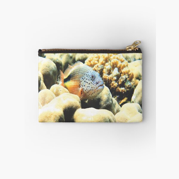 Item preview, Freckled Hawkfish Swimming over Coral Reef in Marsa Alam Red Sea designed and sold by Ahmed ElMekawy.
