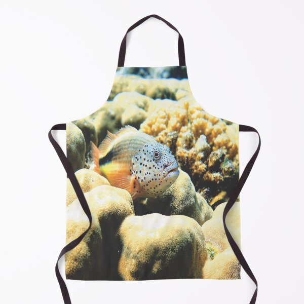 Item preview, Freckled Hawkfish Swimming over Coral Reef in Marsa Alam Red Sea designed and sold by Ahmed ElMekawy.