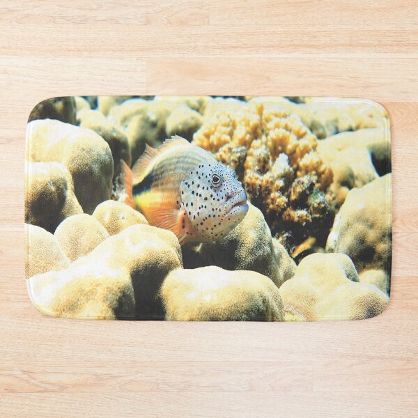Item preview, Freckled Hawkfish Swimming over Coral Reef in Marsa Alam Red Sea designed and sold by Ahmed ElMekawy.