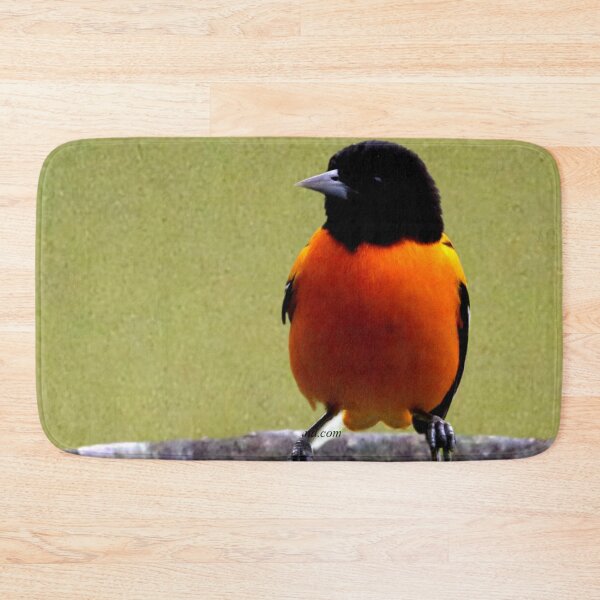 Item preview, Erie Warbler  designed and sold by ontological.