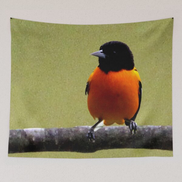 Item preview, Erie Warbler  designed and sold by ontological.