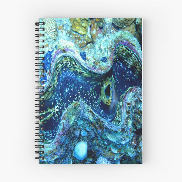 Item preview, Maxima Clam Marsa Alam Red Sea Egypt designed and sold by Ahmed ElMekawy.