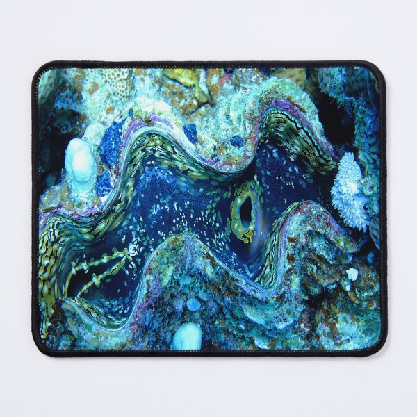 Item preview, Maxima Clam Marsa Alam Red Sea Egypt designed and sold by Ahmed ElMekawy.