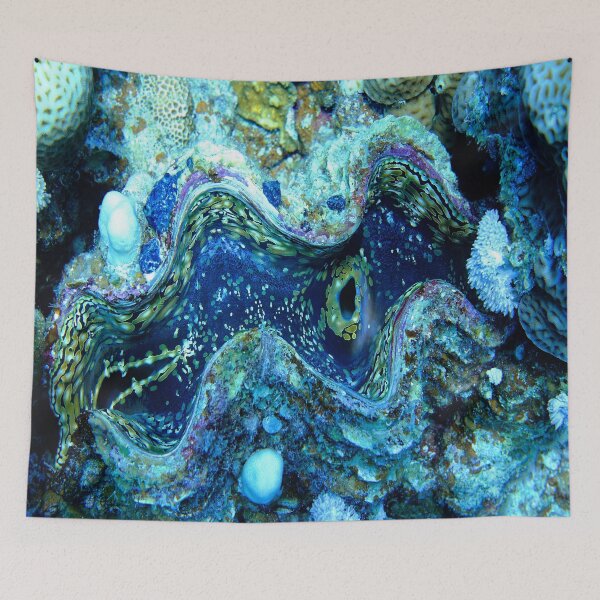 Item preview, Maxima Clam Marsa Alam Red Sea Egypt designed and sold by Ahmed ElMekawy.