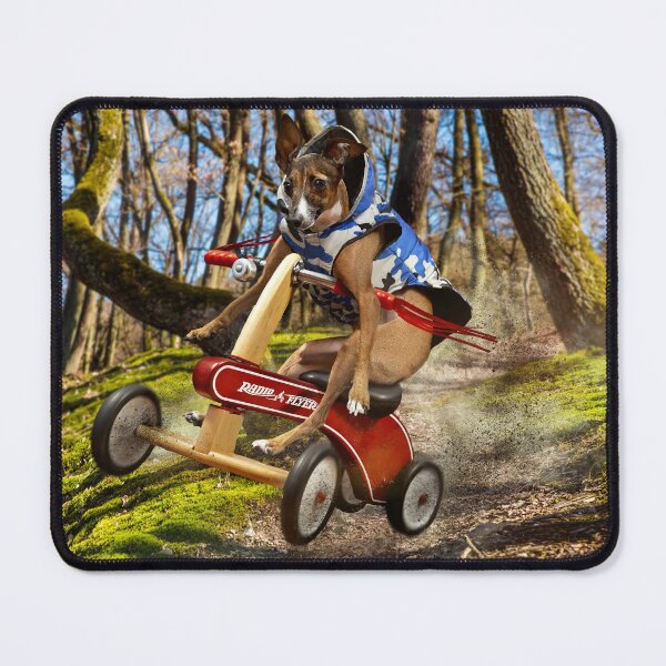 Item preview, Louies Wild ride designed and sold by Drummy.