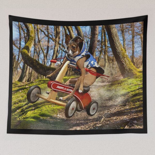 Item preview, Louies Wild ride designed and sold by Drummy.