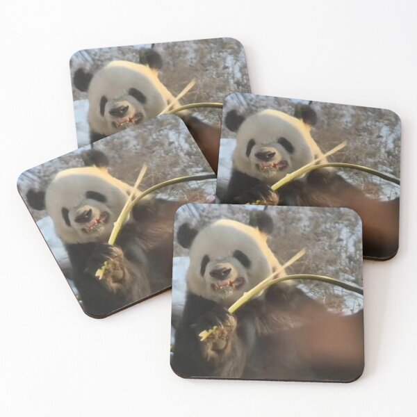 Item preview, Panda Grits Teeth Funny designed and sold by CrushArt1.