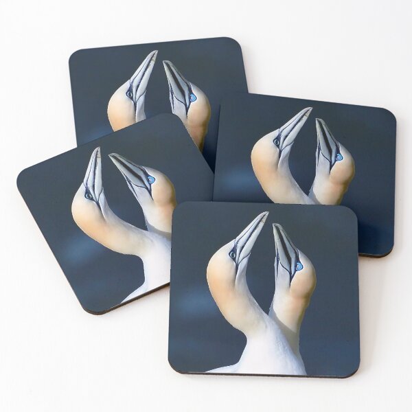 Item preview, Gannet Courtship designed and sold by Tom McPherson Photography.