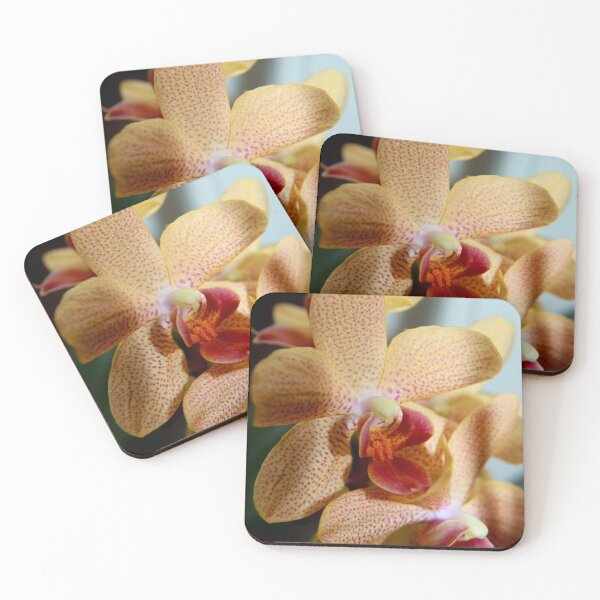 Item preview, Light Kisses Orchids designed and sold by jess3ca.