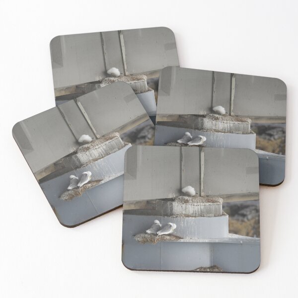 Item preview, Larus argentatus designed and sold by Norwegian Outdoors.